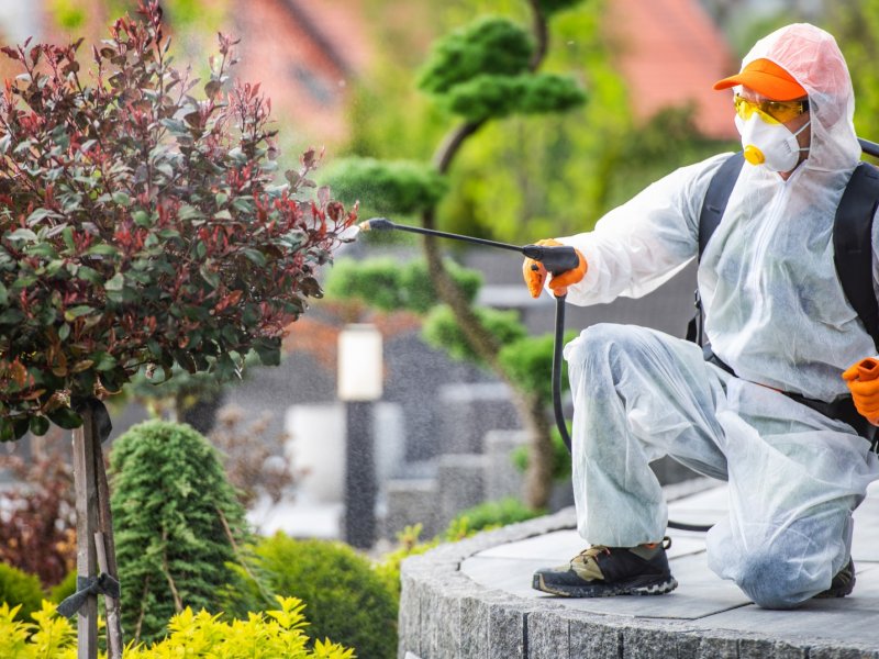 Sulusaray Haşere İlaçlama